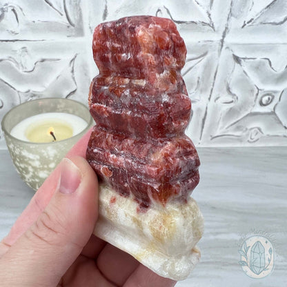 Pork Stone, Bacon Stone Slice Specimen