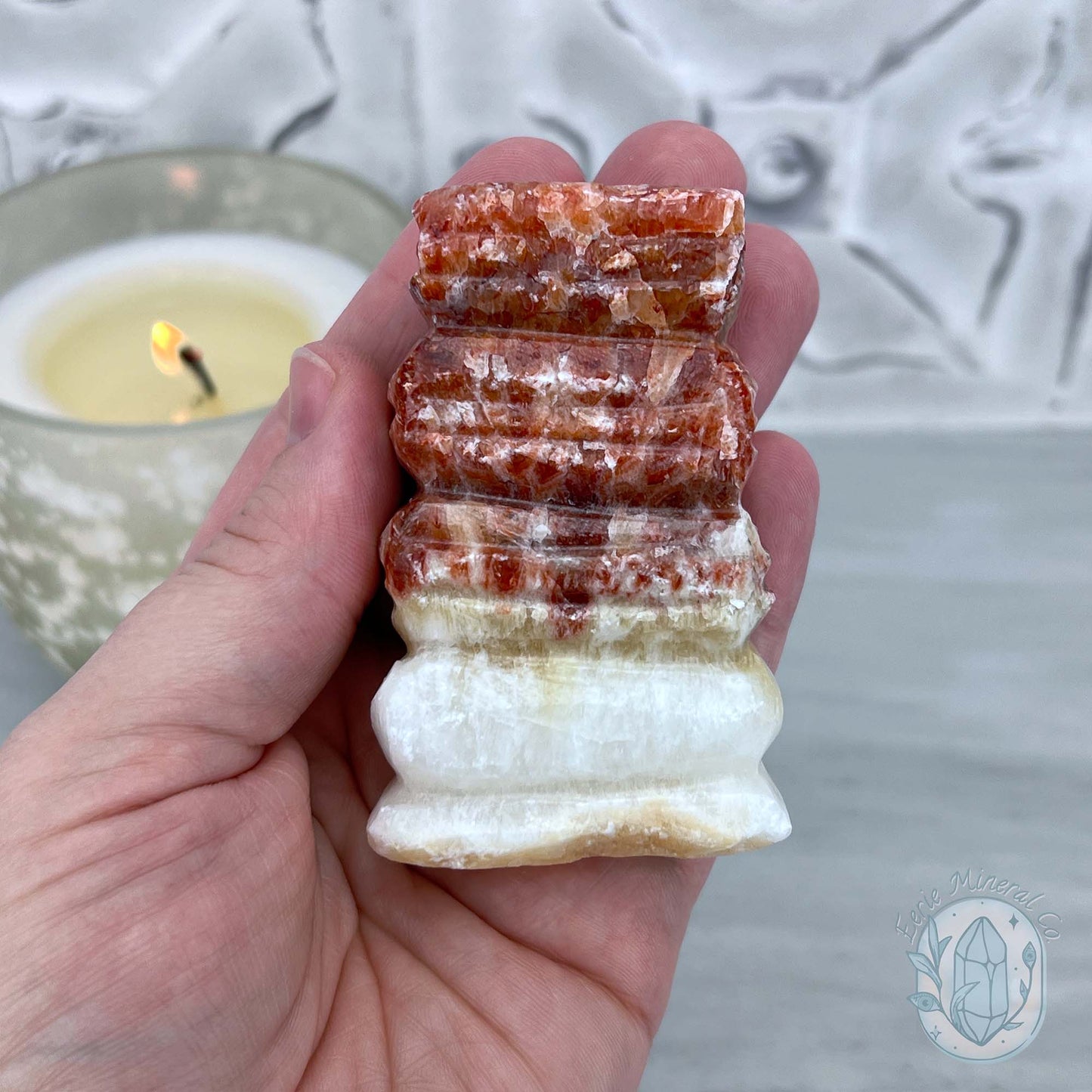 Pork Stone, Bacon Stone Slice Specimen