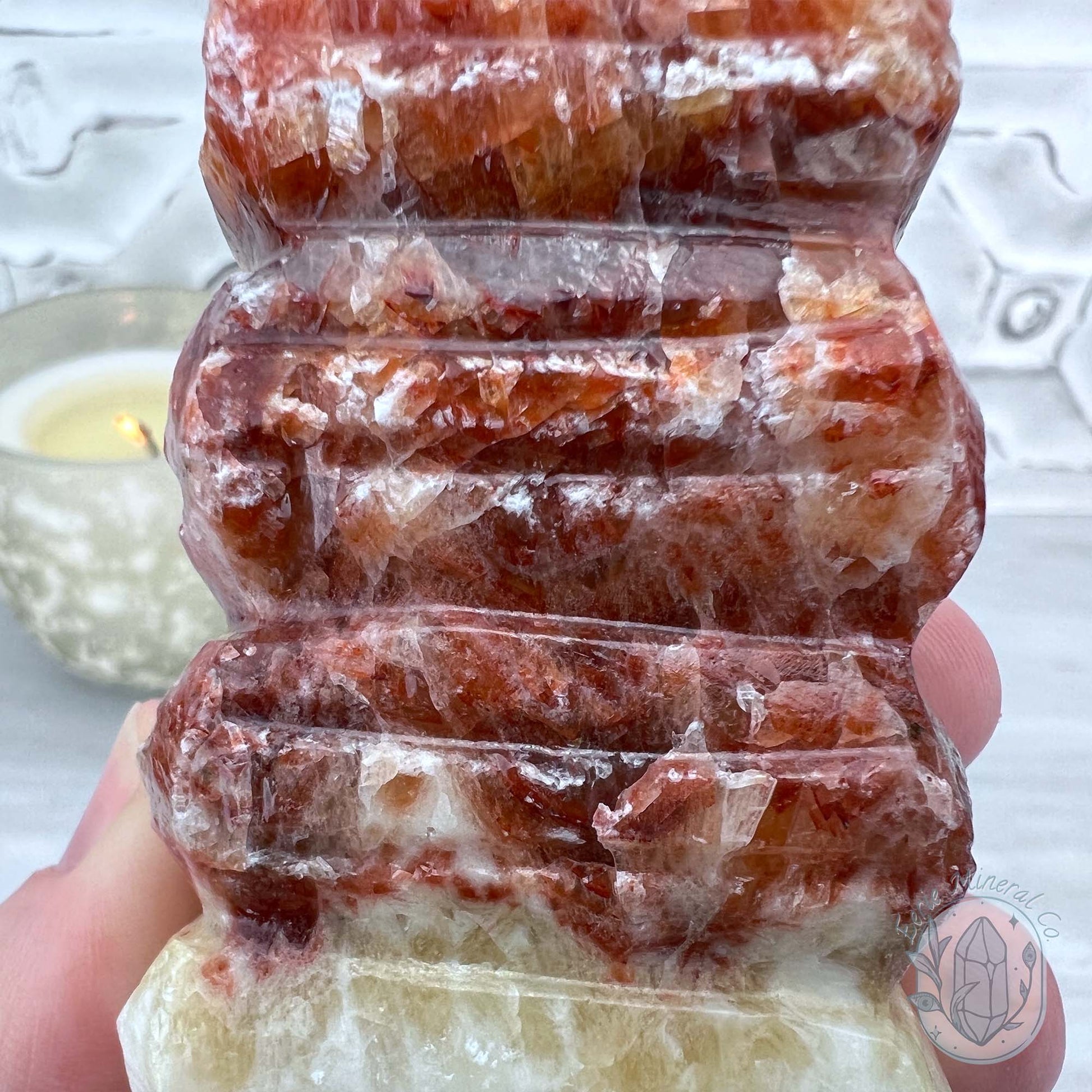Pork Stone, Bacon Stone Slice Specimen