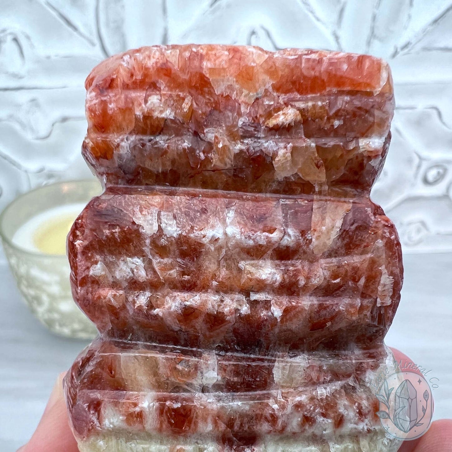 Pork Stone, Bacon Stone Slice Specimen