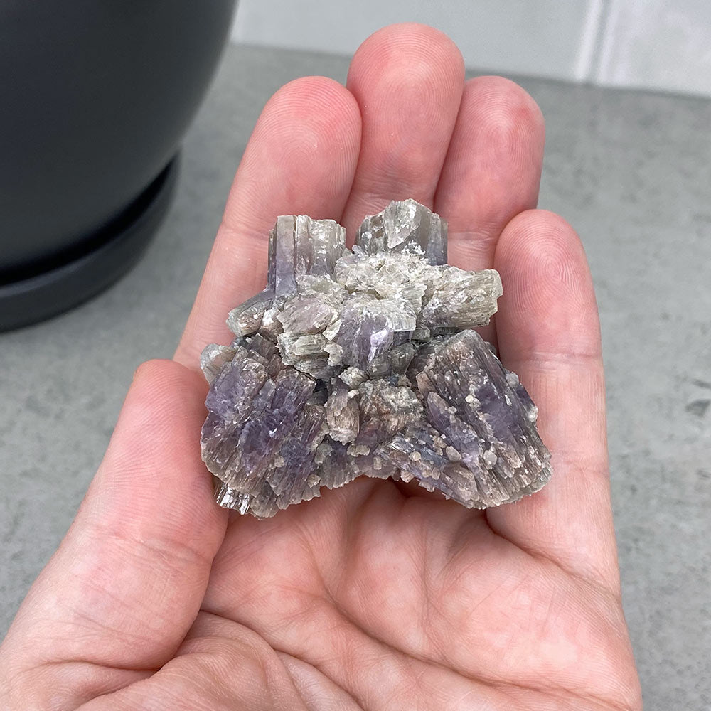 Natural Purple Aragonite Cluster