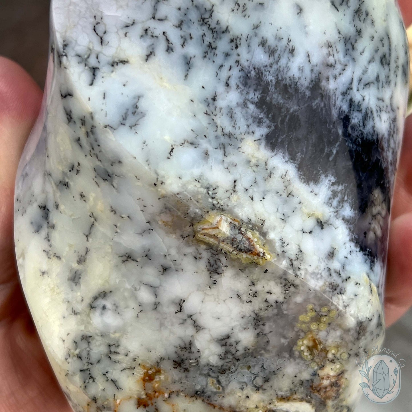 Polished Purple and White Dendritic Chalcedony Agate Flame
