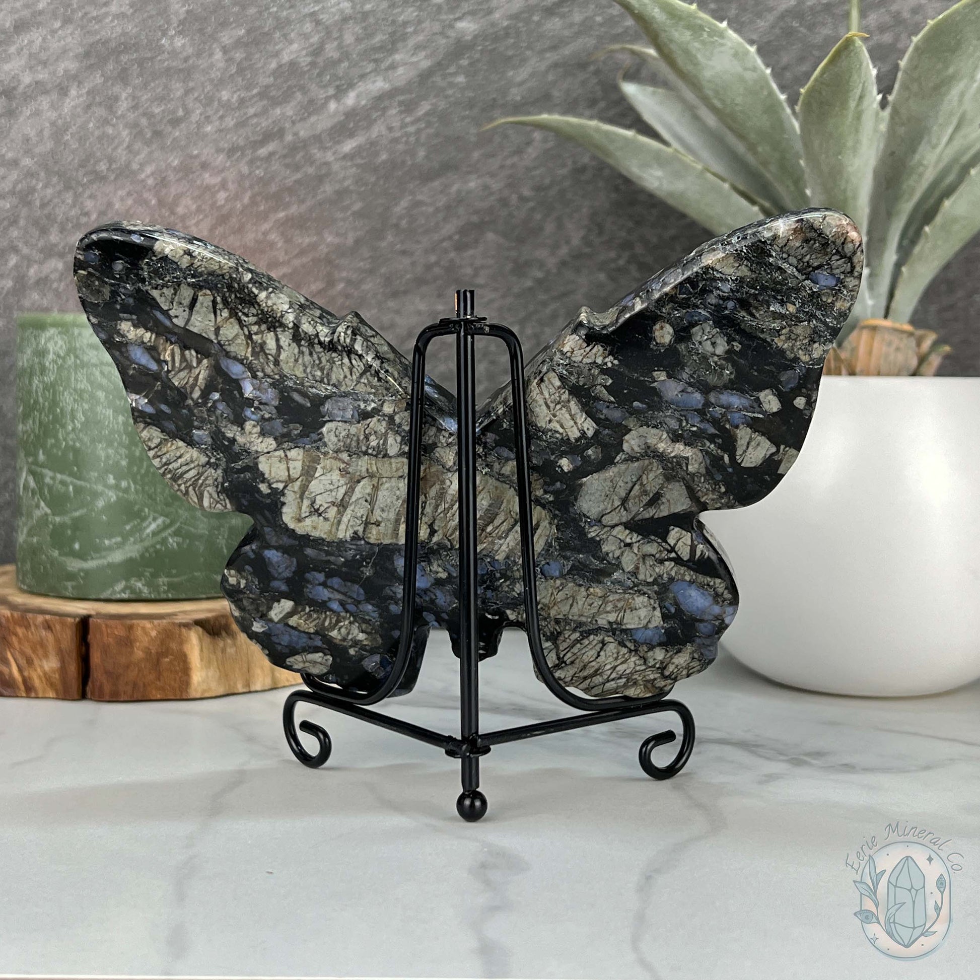 Polished Que Sera Death's Head Moth Carving