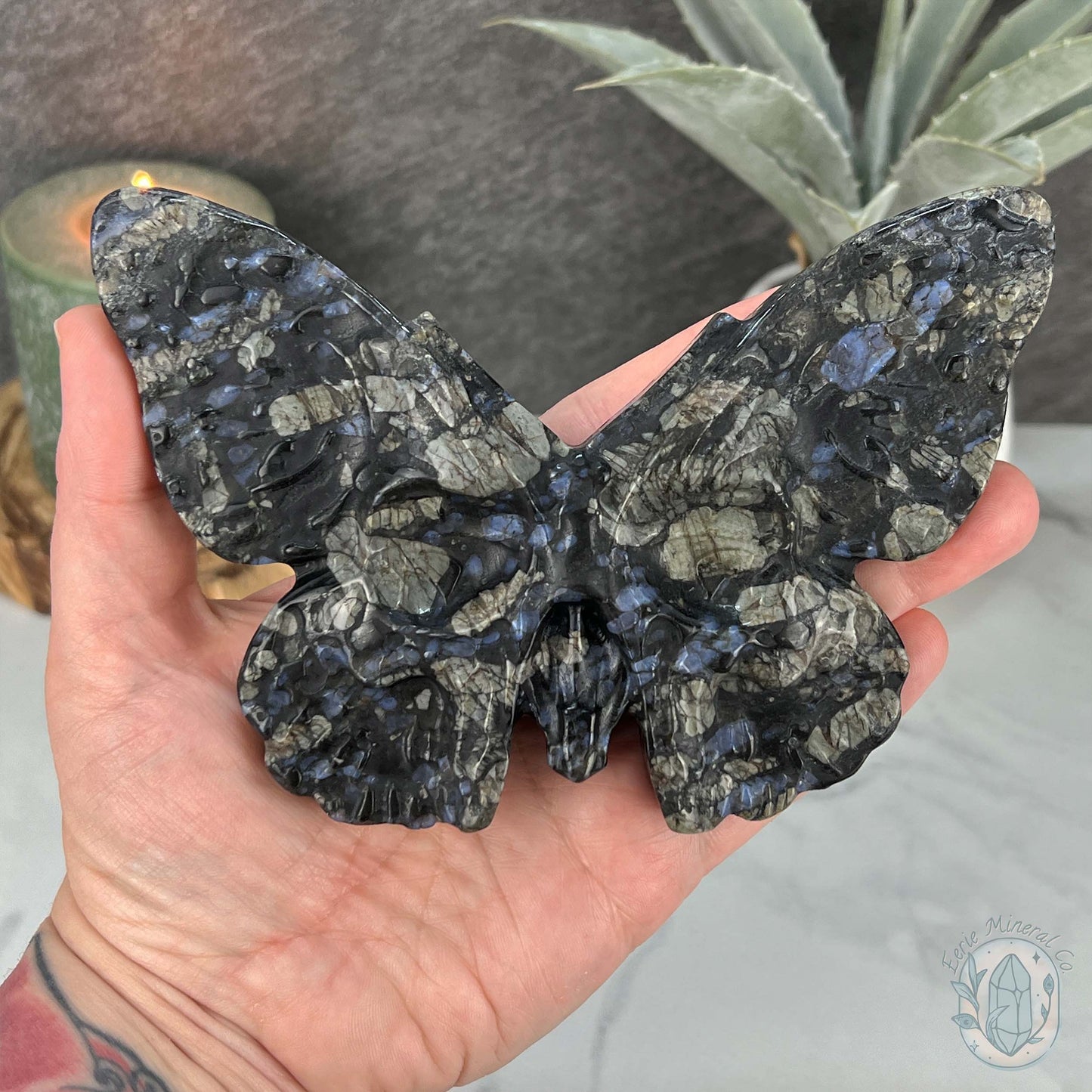 Polished Que Sera Death's Head Moth Carving