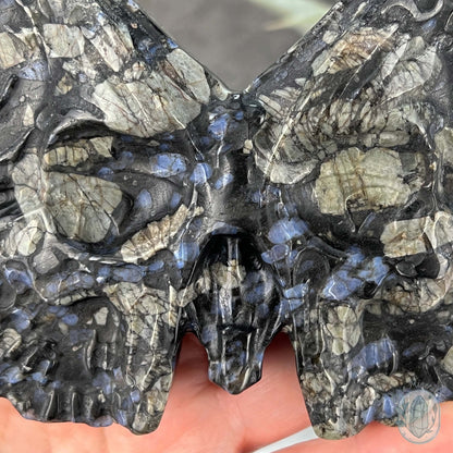 Polished Que Sera Death's Head Moth Carving