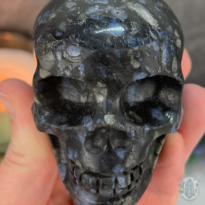 3" Que Sera with Blue Quartz Skull Carving