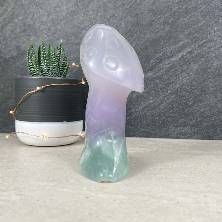 Polished Rainbow Fluorite Mushroom Carving