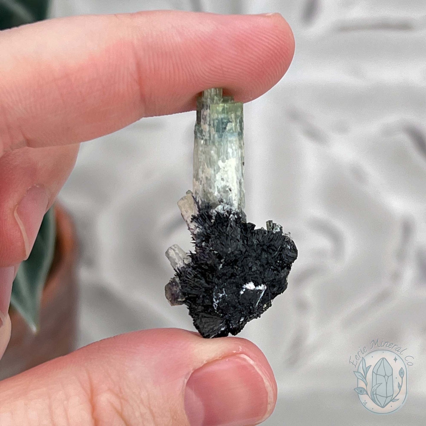 Natural Raw Aquamarine with Schorl Specimens