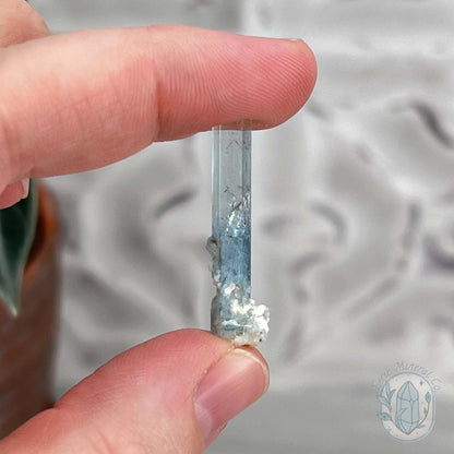 Natural Raw Aquamarine with Schorl Specimens