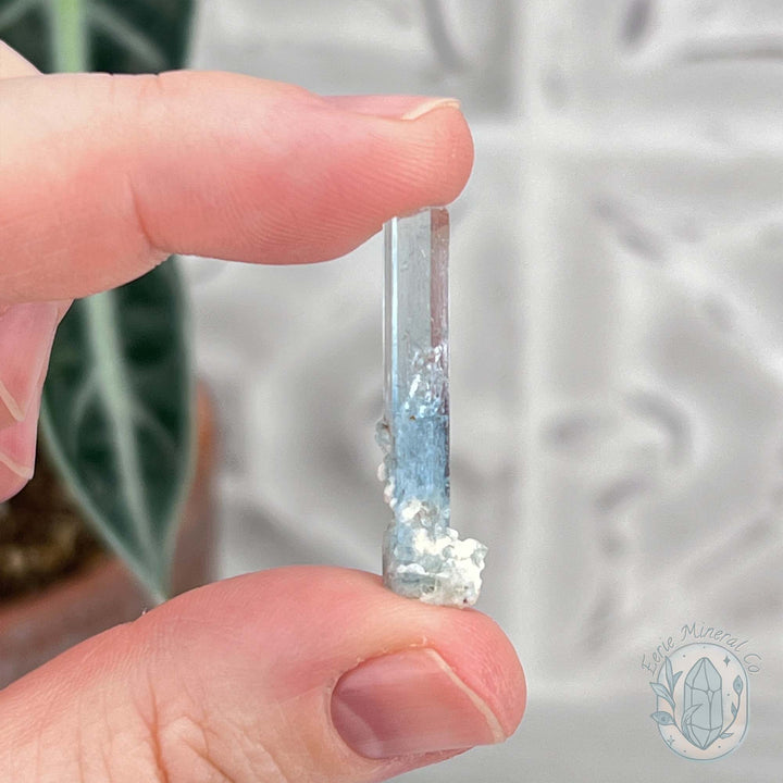 Natural Raw Aquamarine with Schorl Specimens