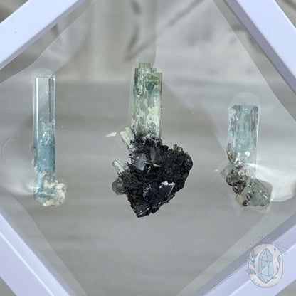 Natural Raw Aquamarine with Schorl Specimens