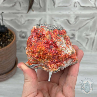 Realgar or "Ruby Sulfur" with Quartz Specimen