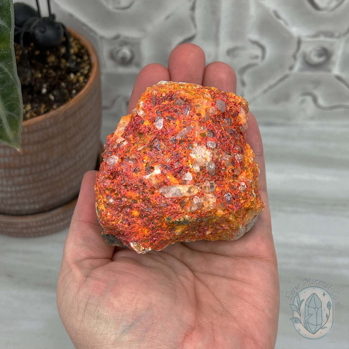 Realgar or "Ruby Sulfur" with Quartz Specimen