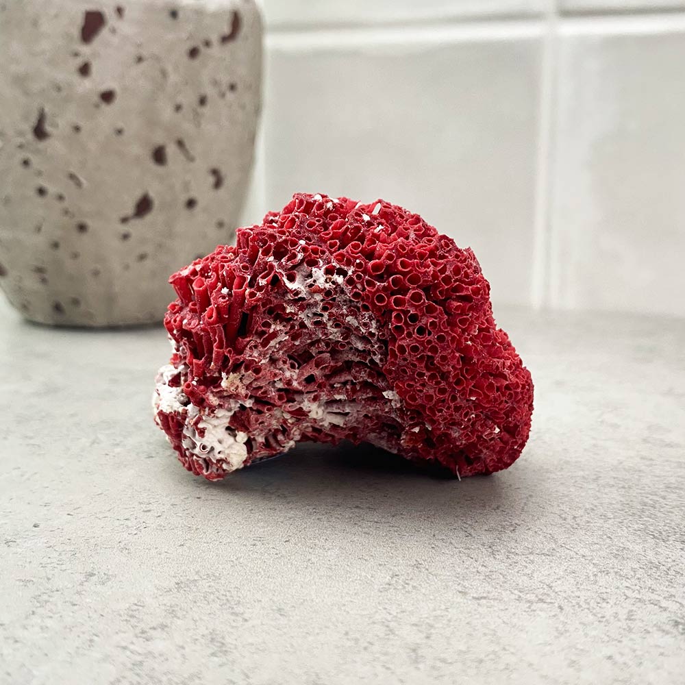 natural red coral specimen