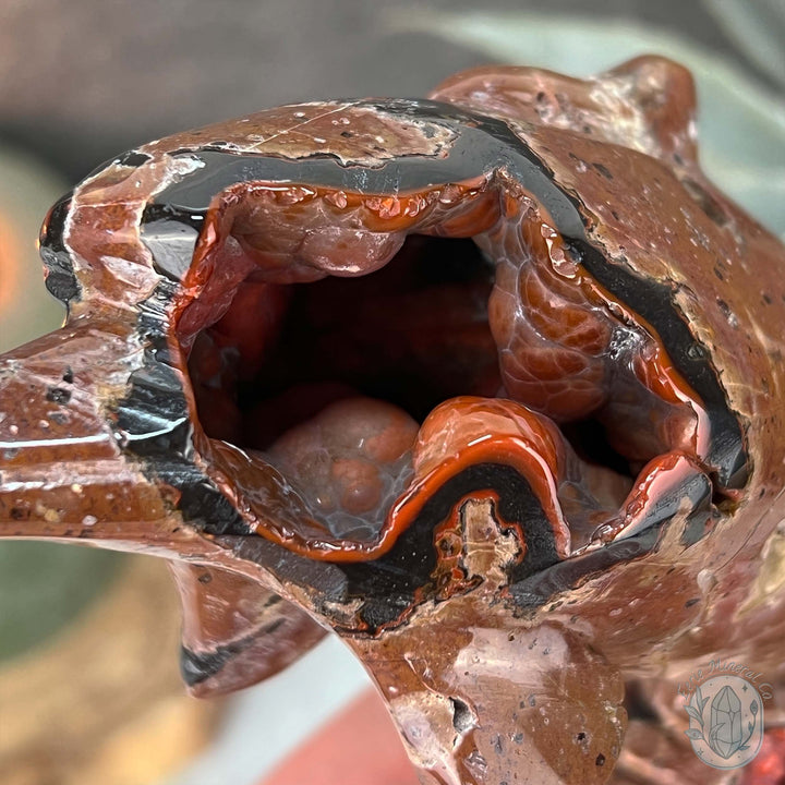 Volcanic Red Fox (Orrelanite) Botryoidal Agate Dolphin Carving