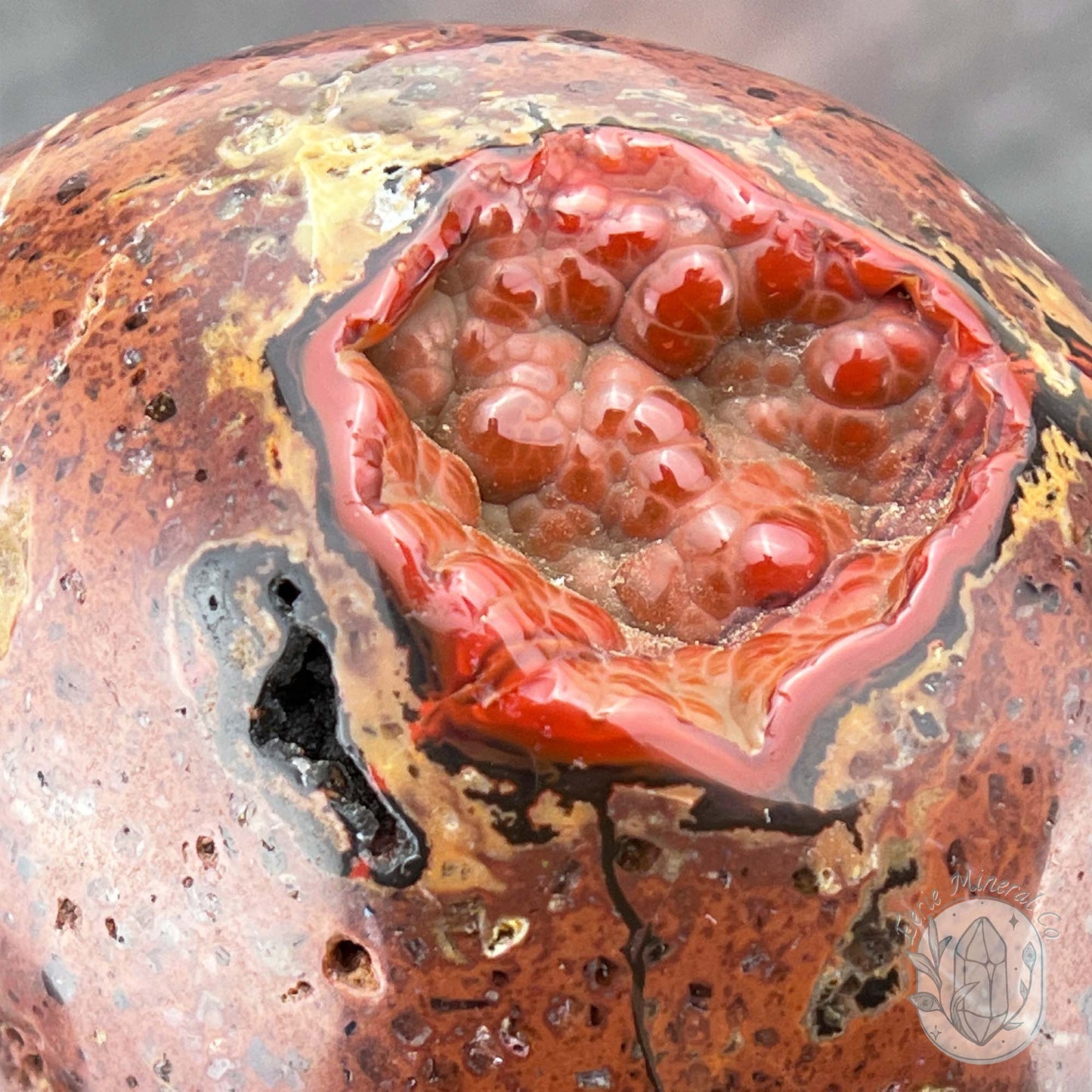 Polished Orrelanite Red Fox Agate Skull Carving