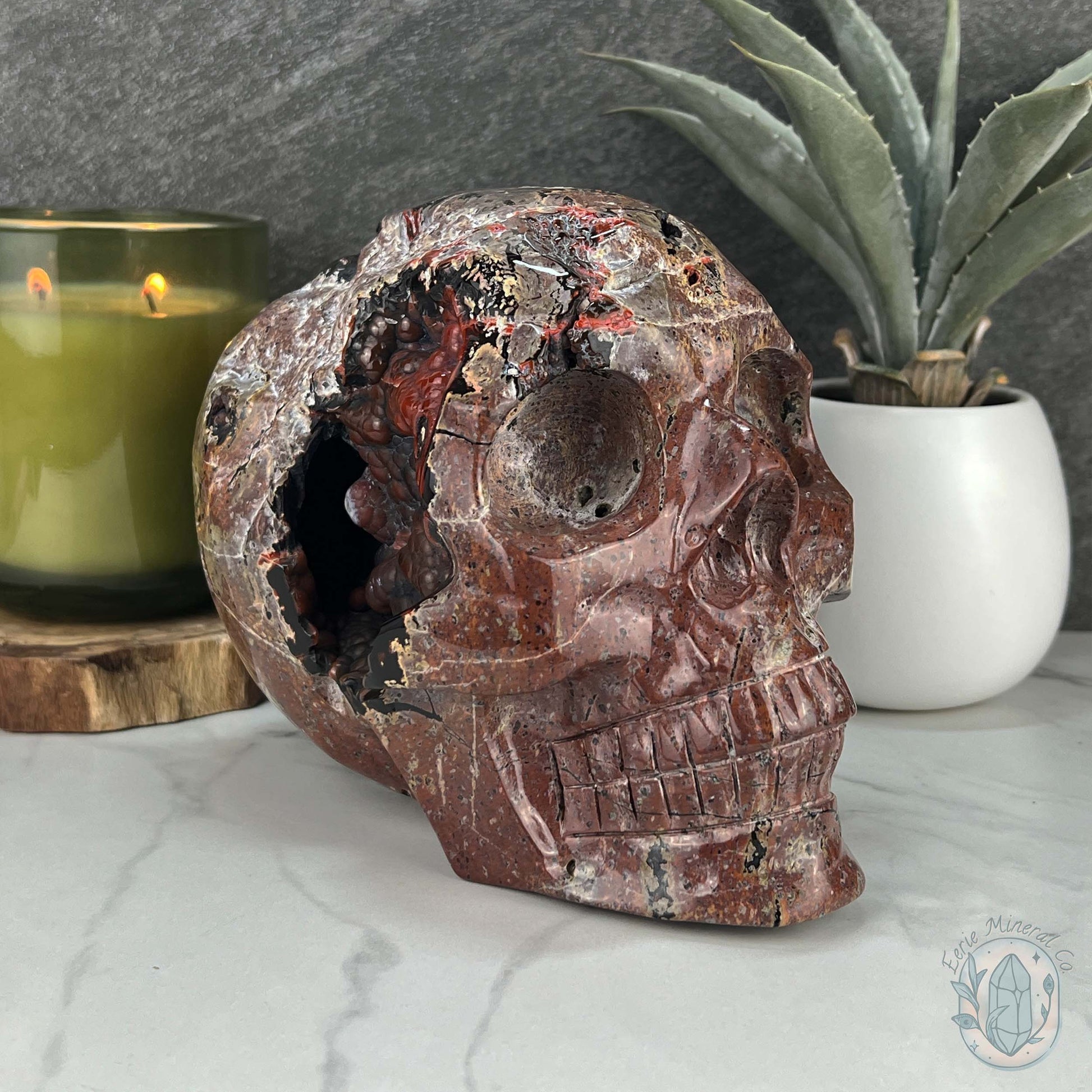 7" Volcanic Red Fox (Orrelanite) Botryoidal Agate Skull Carving
