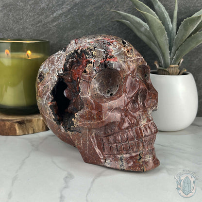 7" Volcanic Red Fox (Orrelanite) Botryoidal Agate Skull Carving