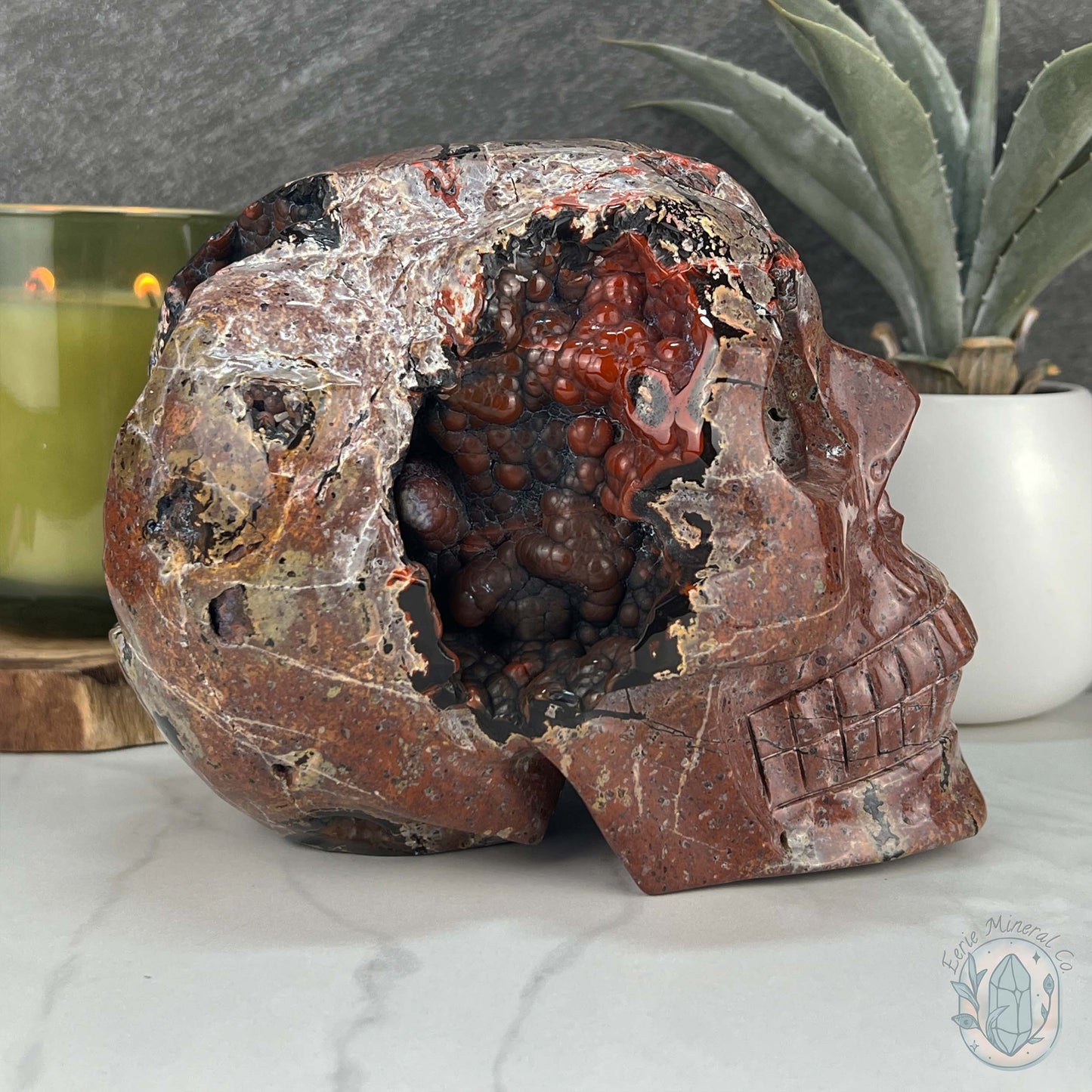 7" Volcanic Red Fox (Orrelanite) Botryoidal Agate Skull Carving