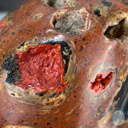 Volcanic Red Fox (Orrelanite) Botryoidal Agate Skull Carving