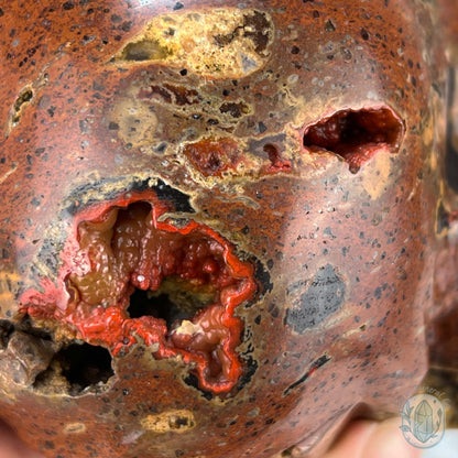 Volcanic Red Fox (Orrelanite) Botryoidal Agate Skull Carving