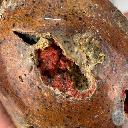Rare Volcanic Red Fox (Orrelanite) Botryoidal Agate Skull Carving