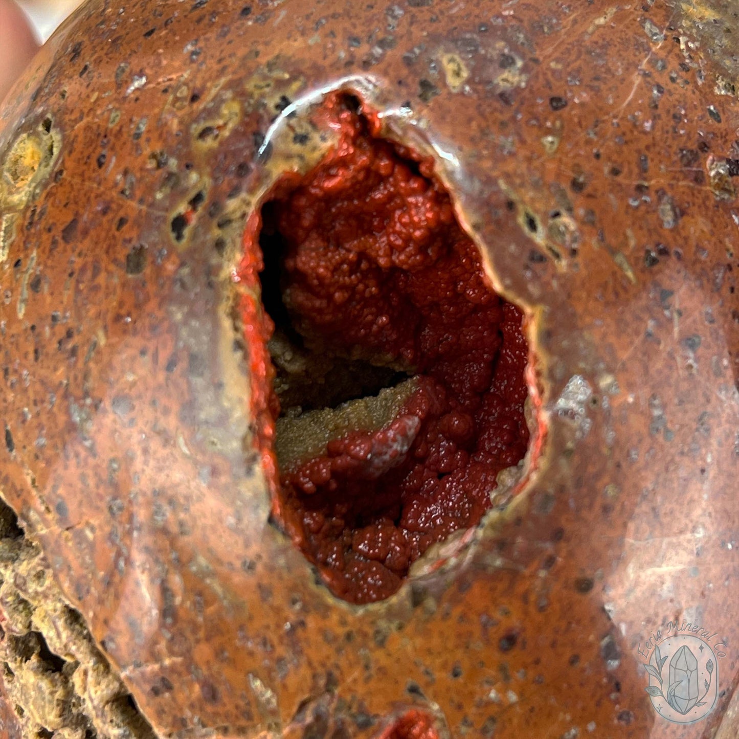 Rare Volcanic Red Fox (Orrelanite) Botryoidal Agate Skull Carving