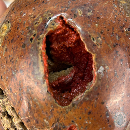 Rare Volcanic Red Fox (Orrelanite) Botryoidal Agate Skull Carving