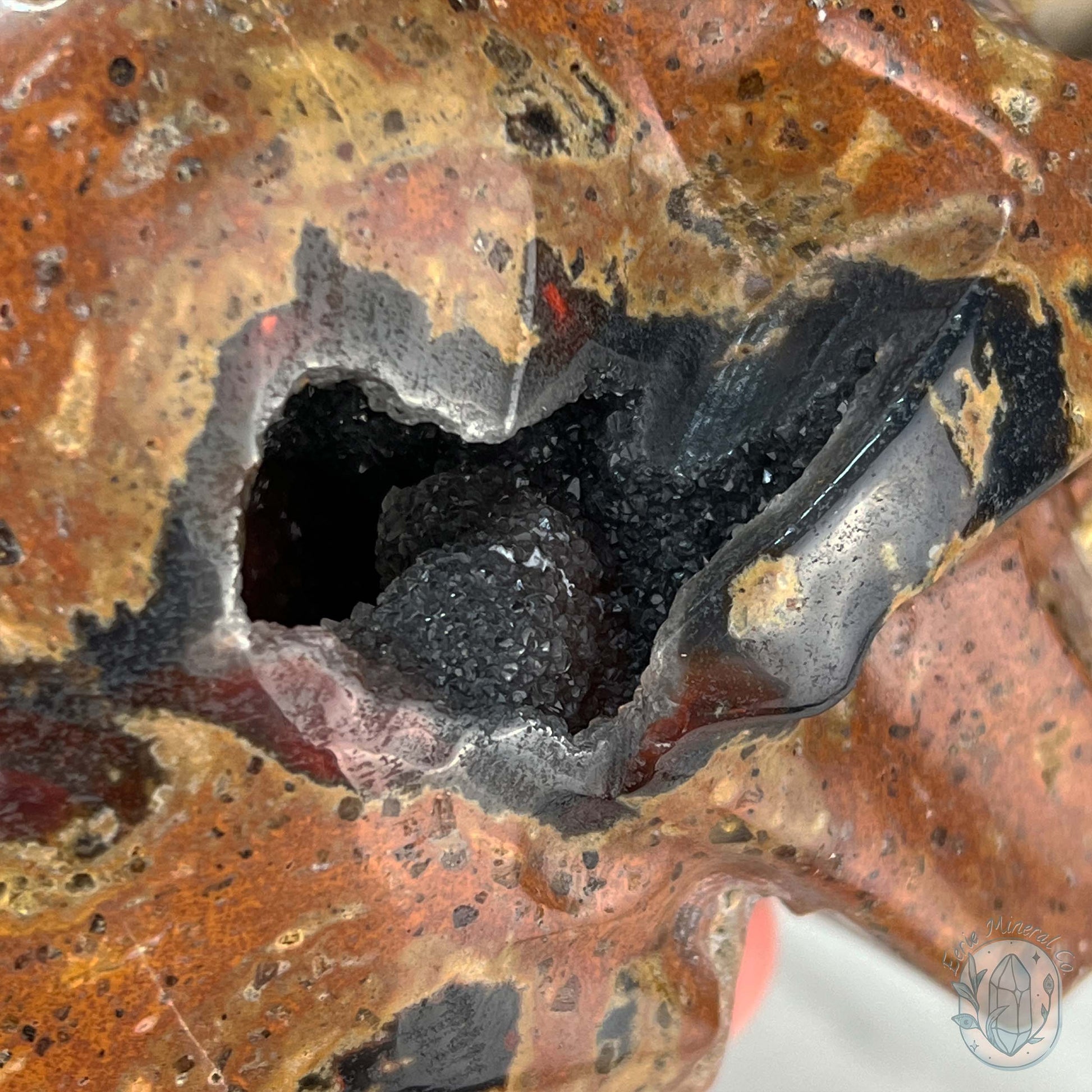 Rare Volcanic Red Fox (Orrelanite) Botryoidal Agate Skull Carving