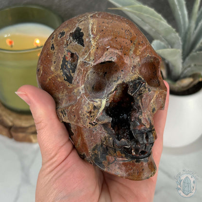 Volcanic Red Fox (Orrelanite) Botryoidal Agate Skull Carving
