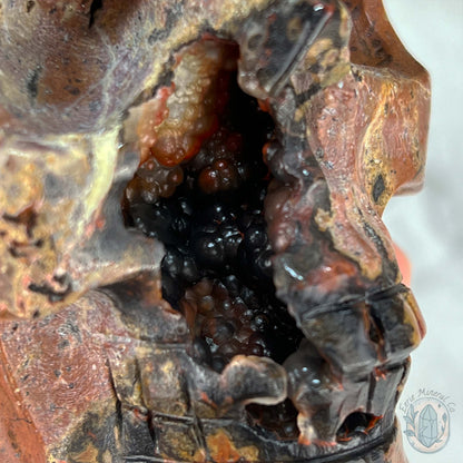 Volcanic Red Fox (Orrelanite) Botryoidal Agate Skull Carving