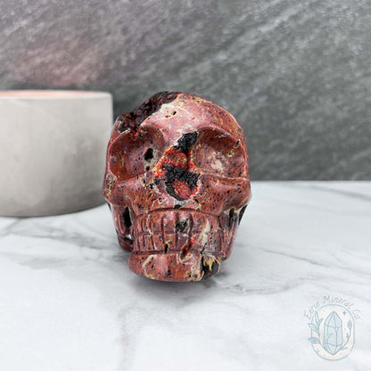 Polished Orrelanite Red Fox Agate Skull Carving