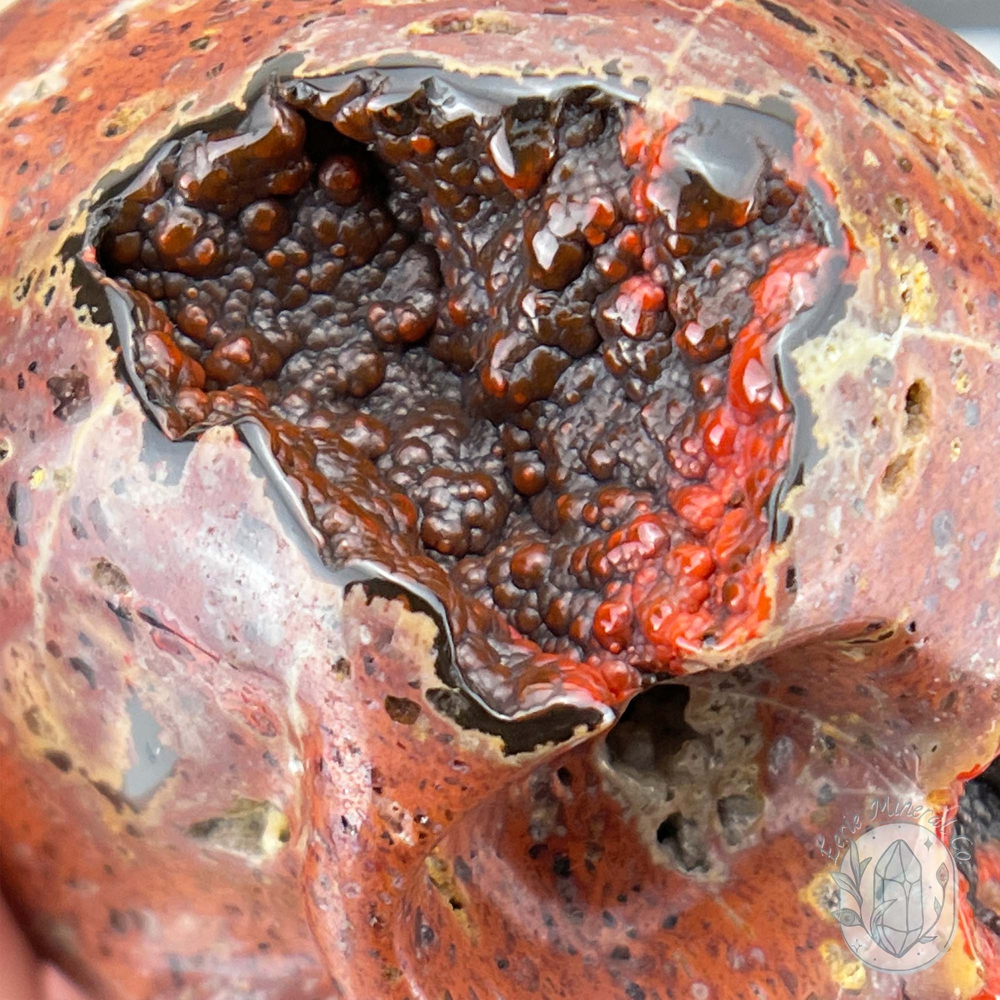 Polished Orrelanite Red Fox Agate Skull Carving