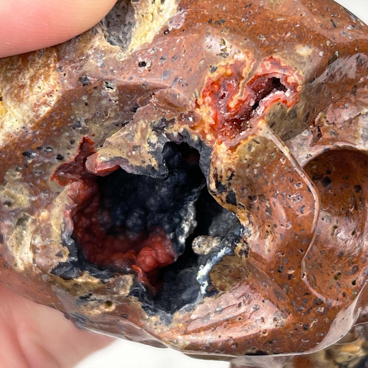 Volcanic Red Fox (Orrelanite) Botryoidal Agate Skull Carving