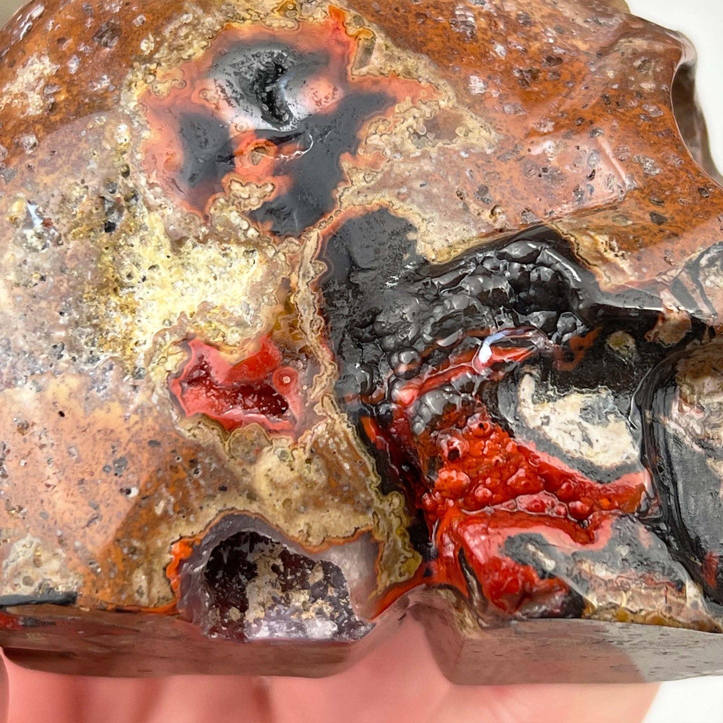 Rare Volcanic Red Fox (Orrelanite) Botryoidal Agate Skull Carving