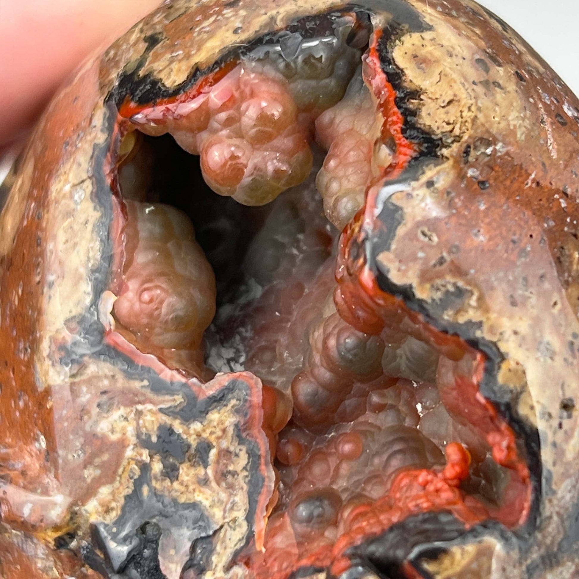 Rare Volcanic Red Fox (Orrelanite) Botryoidal Agate Skull Carving