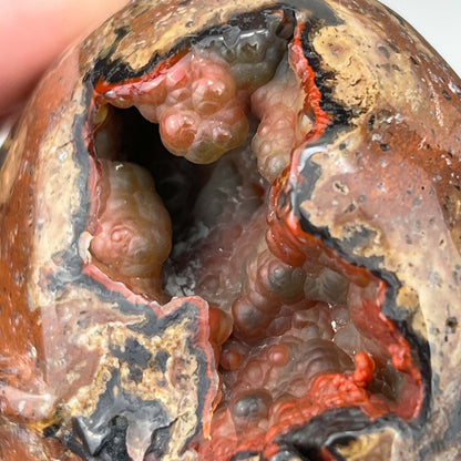 Rare Volcanic Red Fox (Orrelanite) Botryoidal Agate Skull Carving