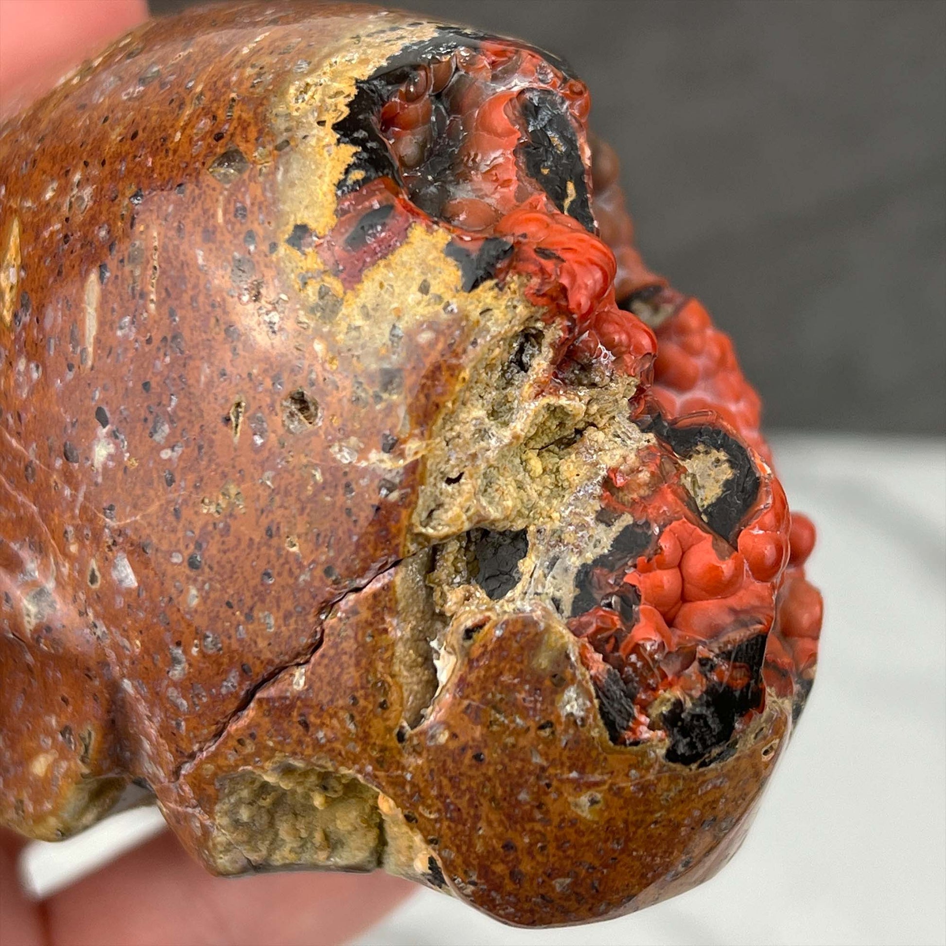 Rare Volcanic Red Fox (Orrelanite) Botryoidal Agate Skull Carving