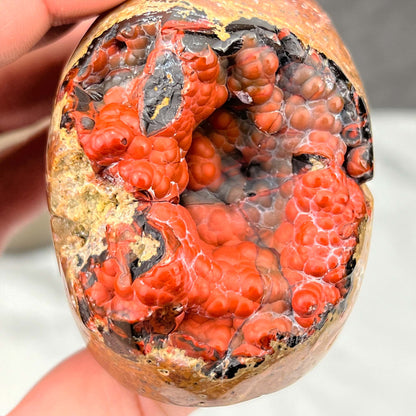 Rare Volcanic Red Fox (Orrelanite) Botryoidal Agate Skull Carving