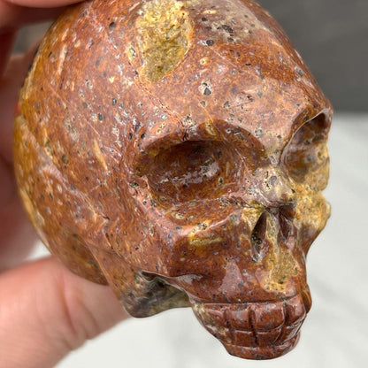 Rare Volcanic Red Fox (Orrelanite) Botryoidal Agate Skull Carving