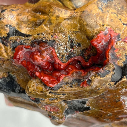 Rare Volcanic Red Fox (Orrelanite) Botryoidal Agate Skull Carving