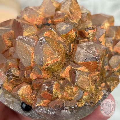Quartz with Red Hematite Crystal Cluster Hedgehog Carving Specimen
