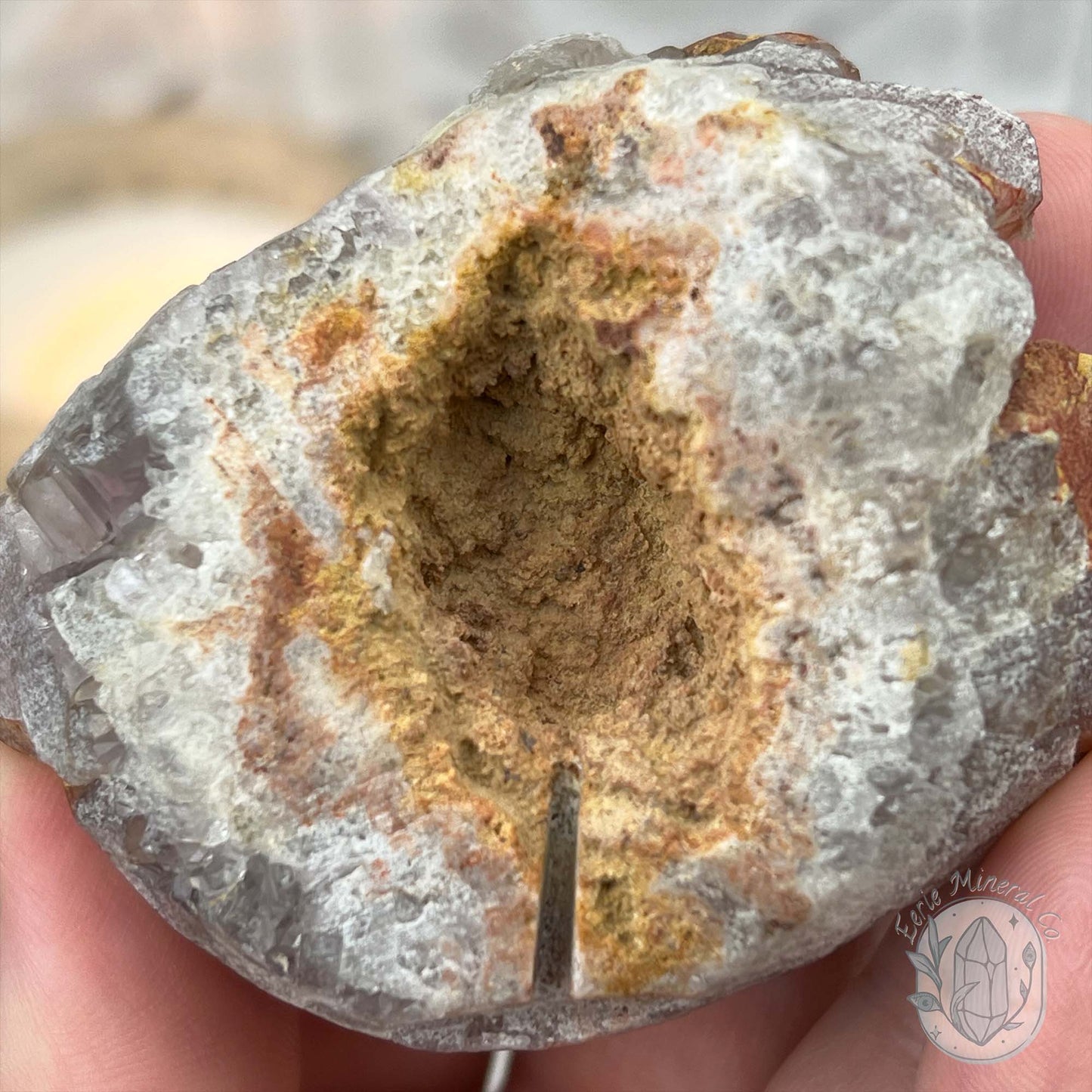 Quartz with Red Hematite Crystal Cluster Hedgehog Carving Specimen