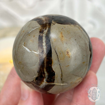 50mm Polished Septarian Sphere
