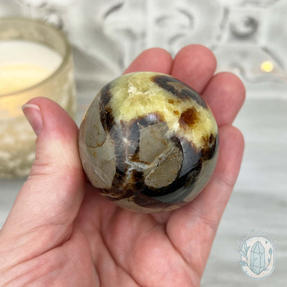 50mm Polished Septarian Sphere