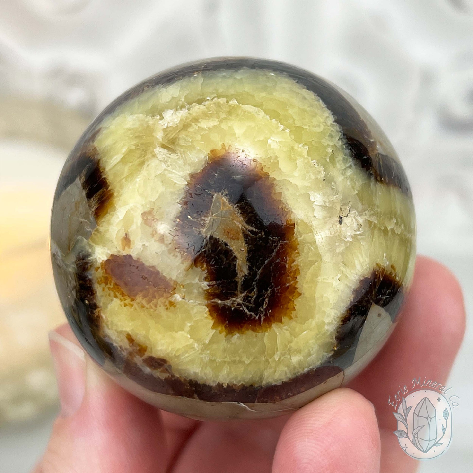50mm Polished Septarian Sphere