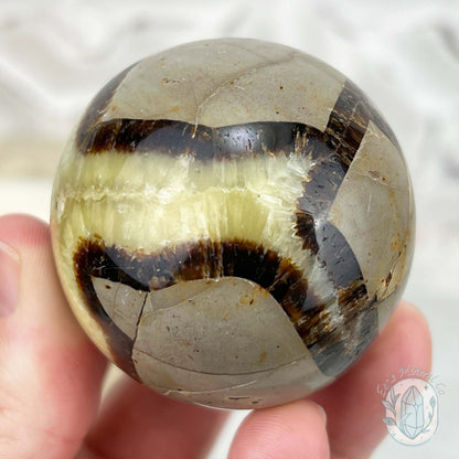 50mm Polished Septarian Sphere