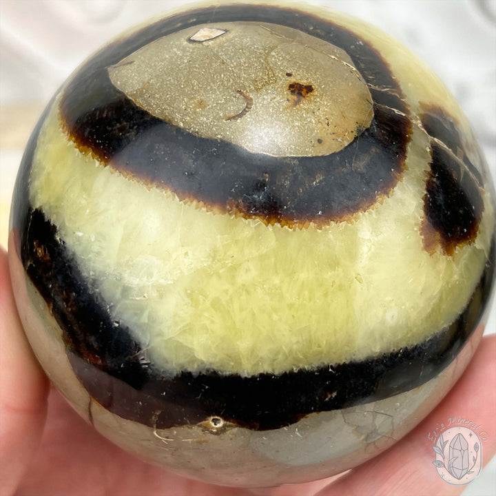 78mm Polished Septarian Sphere