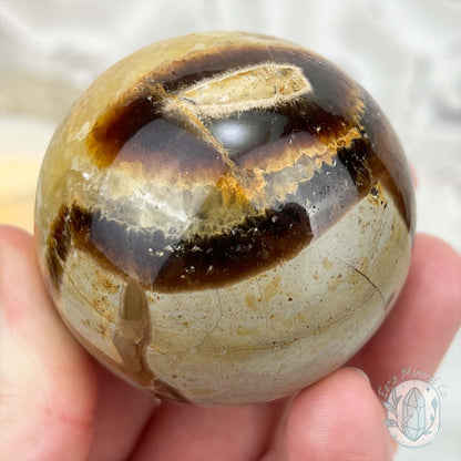 54mm Polished Septarian Sphere