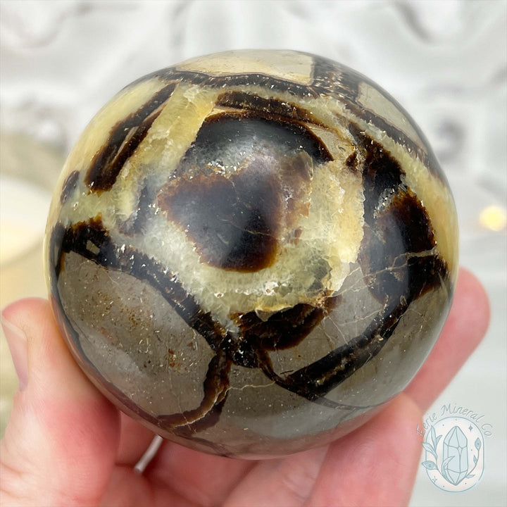 65mm Polished Septarian Sphere